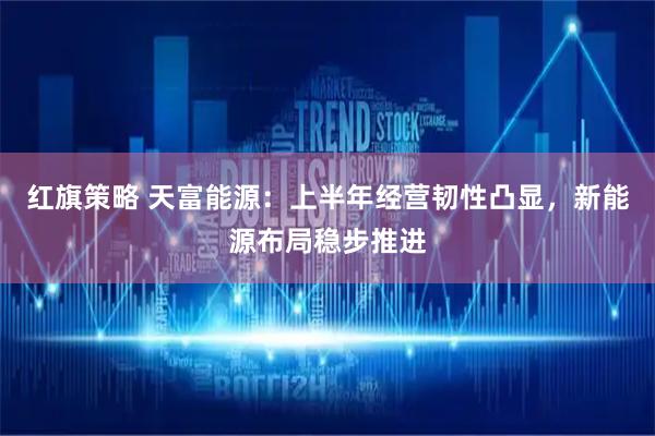 红旗策略 天富能源：上半年经营韧性凸显，新能源布局稳步推进