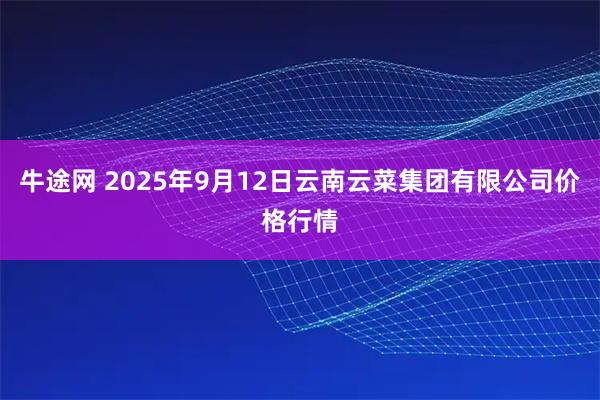 牛途网 2025年9月12日云南云菜集团有限公司价格行情