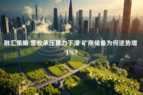 融汇策略 营收承压算力下滑 矿商储备为何逆势增 1%？